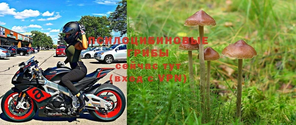 синтетический гашиш Анжеро-Судженск